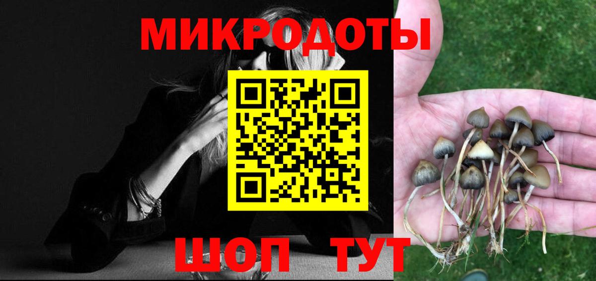 Галлюциногенные грибы Psilocybe  Вход с VPN  Крымск 
